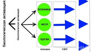психосоматика