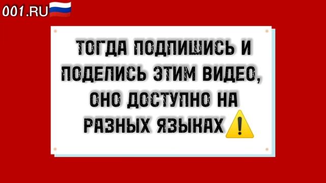 Социальный проект.