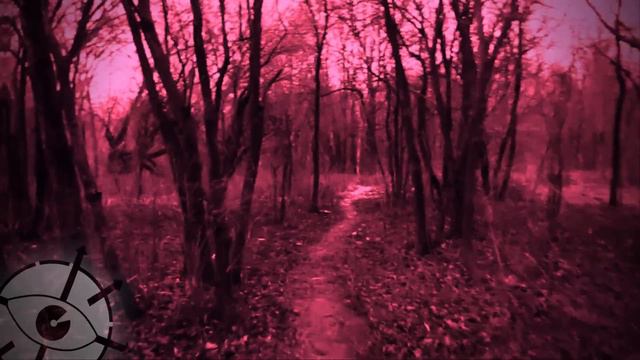 Миры Liminal Archives кроме Бекрумс