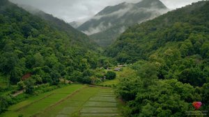 Медитация Джо Диспензы Индукционная техника "Части тела" 1-я неделя