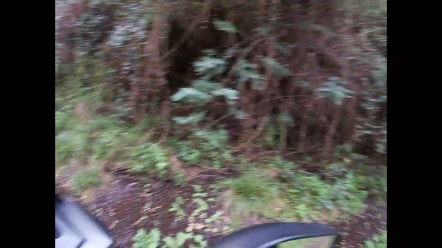 HONDA PCX 125: OFF ROAD MODE #3 смотреть онлайн