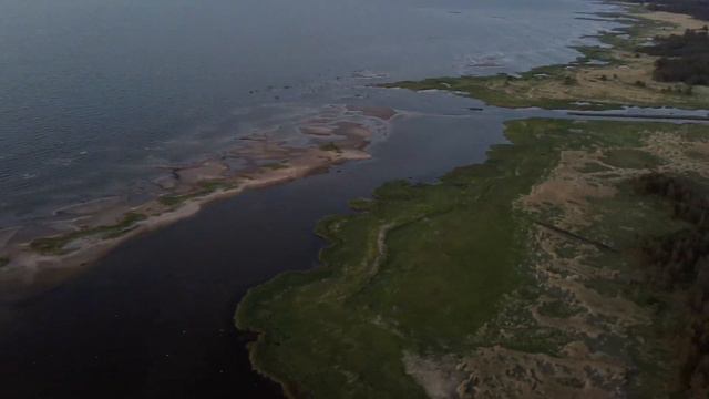 Курголово 2020