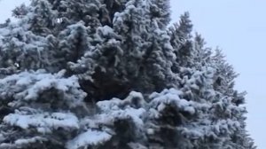 Завируха, метель ,завируха. Зимняя песня ВИА ВЕРАСЫ.