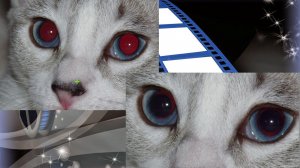 КАК УБРАТЬ ЭФФЕКТ КРАСНЫХ ГЛАЗ НА ФОТО с помощью Sony Vegas Pro 13. Урок 23