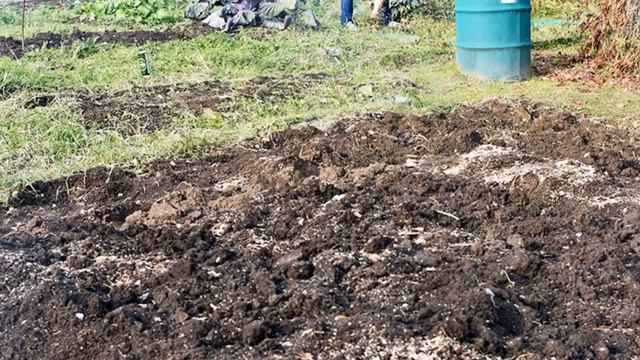 А вы знали Какие культуры необходимо удобрять золой осенью?