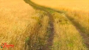 СМОТРЕТЬ ВСЕМ! Песня МОЛОДОЙ АГРОНОМ  Ансамбль Калина  Russian folk song