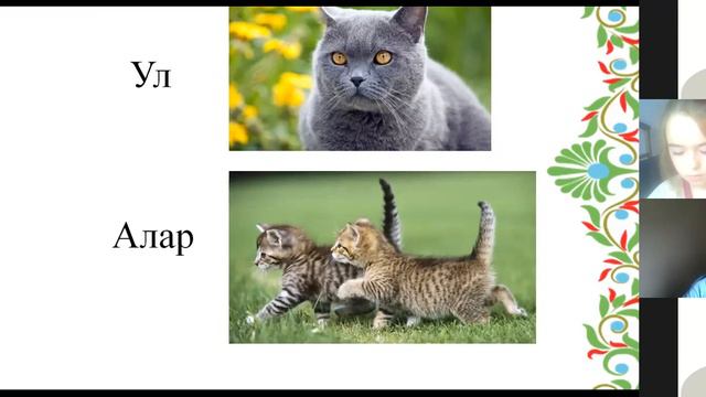 Урок татарского языка Тема: Местоимения смотреть онлайн