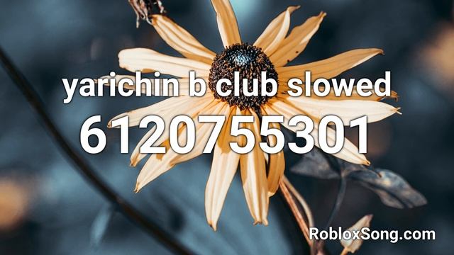 yarichin b club— slowed Roblox ID - Roblox Music Code смотреть онлайн