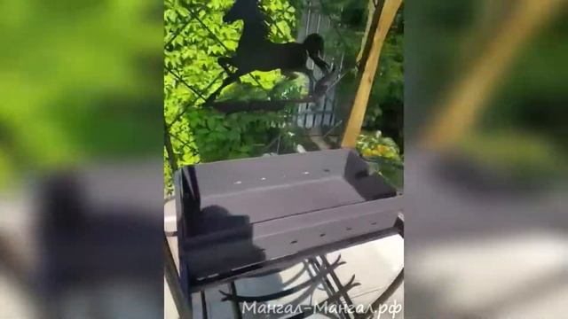 ⭐⭐⭐⭐⭐МАНГАЛ ДАЧНЫЙ МД-6Л смотреть онлайн