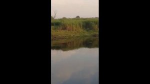 Каргаполово. Сузунский район.