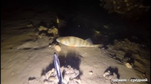 Тест фонаря для подводной съемки. Модернизированый фонарь от ZKM.