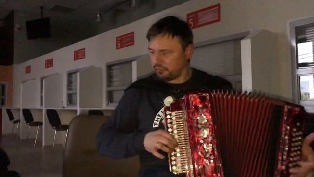 НАНЭ ЦОХА на гармони смотреть онлайн