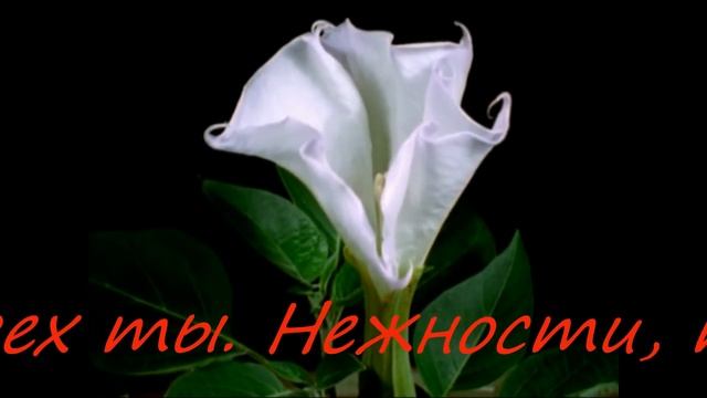 Красивые поздравления с 8 Марта!