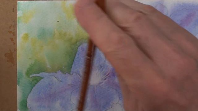 Clematis part 2 смотреть онлайн