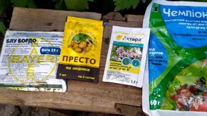 Срок действия и срок ожидания препаратов для обработки винограда