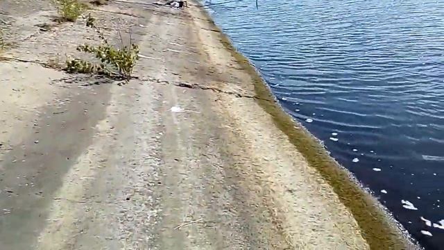 Рыбалка в августе с дамбы на удочку смотреть онлайн