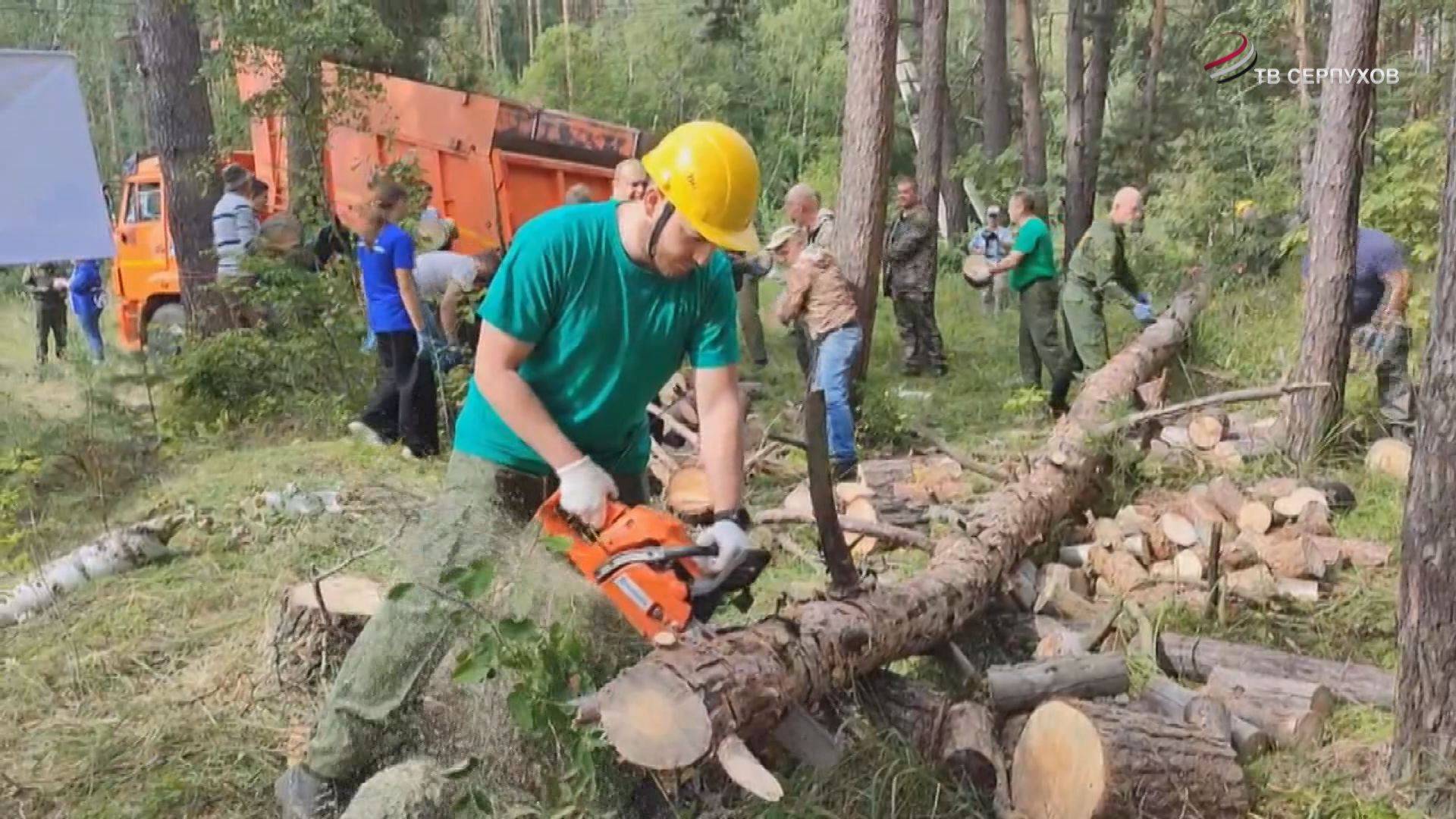 В Шатовском лесничестве прошел  субботник