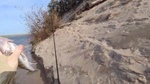 Рыбалка в Нижегородской области. Ока. Первый раз на Шуховской башне, разведка.