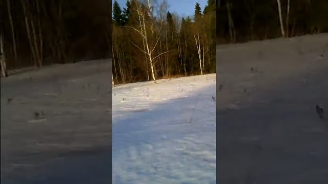 Динго 125 смотреть онлайн