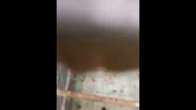 За что наказан Жора? смотреть онлайн