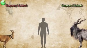 Animal Size Comparison [EXTINCT LIVING] 2023