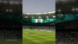 Стадион Краснодар "Колизей". Не реальное зрелище!!!
