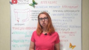 Зачем нужен аппендикс? Что такое аппендицит?