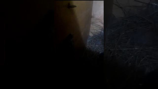 Габитбагыпжатыркояндарымды смотреть онлайн