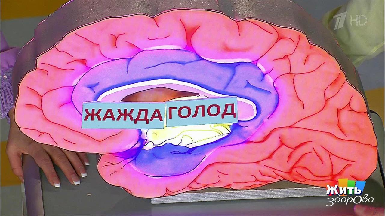 Необычные признаки обезвоживания. Жить здорово! Фрагмент выпуска от 07.06.2017