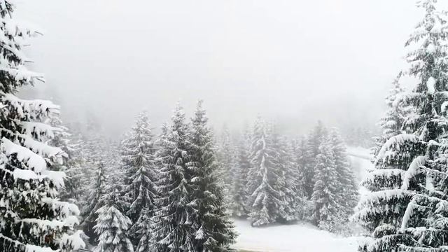 QART - Итоги года 2020! Подкаст смотреть онлайн