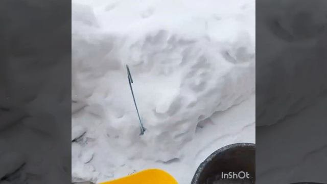 Тушеная картошка с тушенкой.