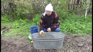Приготовление питательного раствора для картофеля с Сиянием 2