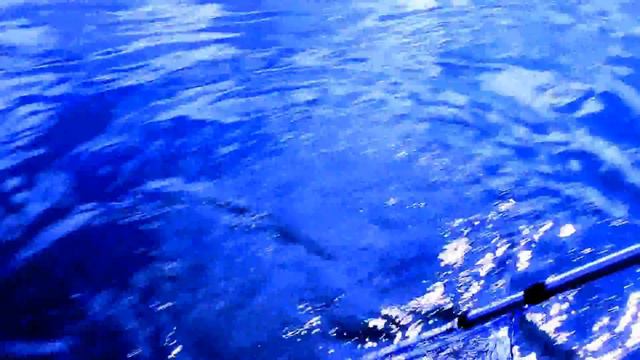 рыбалка на Дубешне смотреть онлайн