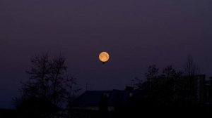 целебная музыка для сердца и сосудов - нежная музыка, успокаивает нервную систему и радует