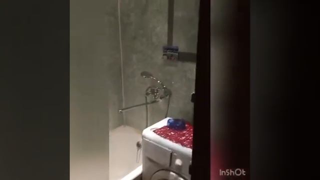 Просторная квартира в Пушкино- успейте арендовать выгодно! смотреть онлайн