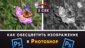 Как сделать изображение черно-белым в Фотошоп Photoshop