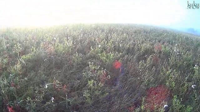 Осенняя охота 2023. Прогулка по Северным болотам.