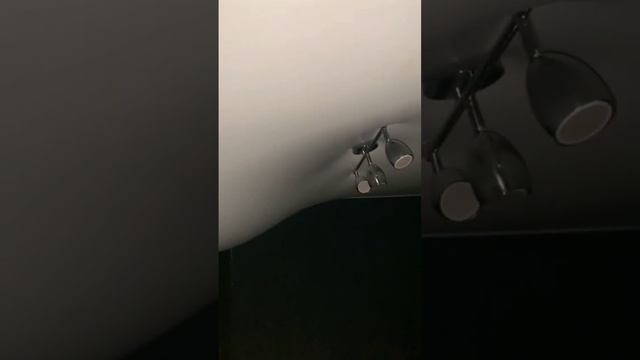 слив воды из натяжного потолка в спб смотреть онлайн