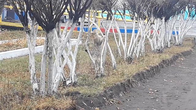 Чем выше, тем лучше смотреть онлайн