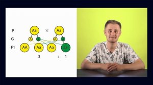 Как решать генетические задачи?