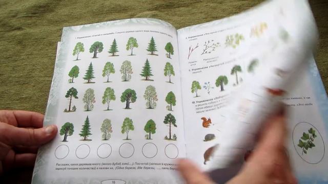 Теремкова Н.Э. Логопедические домашние задания для детей 5-7 лет с ОНР. 1 Альбом смотреть онлайн