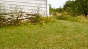 Daisy Red Ryder Lever Action BB Gun Review