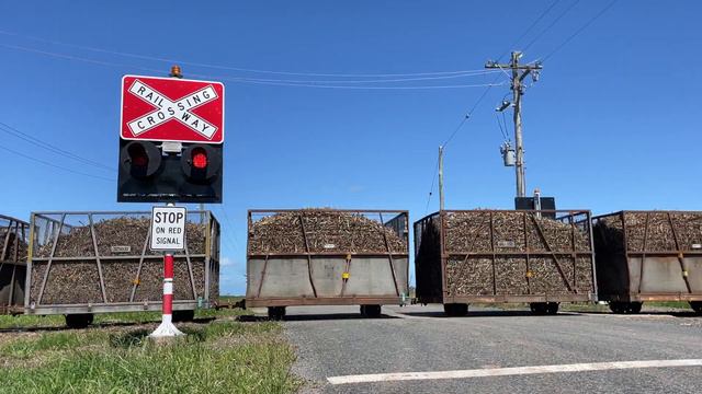 Petersens Rd Cane Crossing, Bakers Creek смотреть онлайн