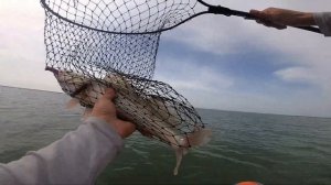 Рыбалка на Крупного окуня и не только на Веселовском водохранилище!