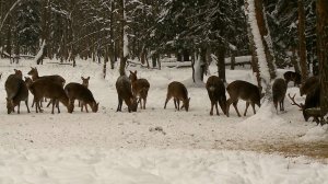 В Мытищах активно развивается экотуризм