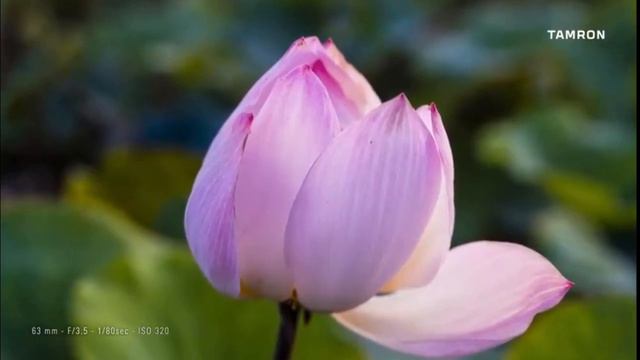 Awesome!!! Tamron 28 75mm f2 8 sony video (clear zoom image) смотреть онлайн