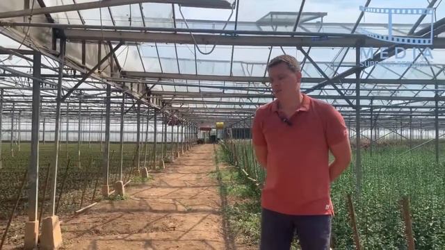 JZ Flowers смотреть онлайн