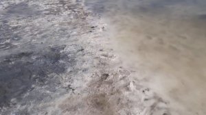 озеро Шамеля(Сульфатное).Курганская область