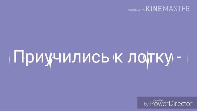 Маленький смешной поросёнок-Стёпа. Funny little Piglet-Step. смотреть онлайн