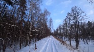 Зимний поход на Танковые горы и в лес вдоль бывшей УЖД